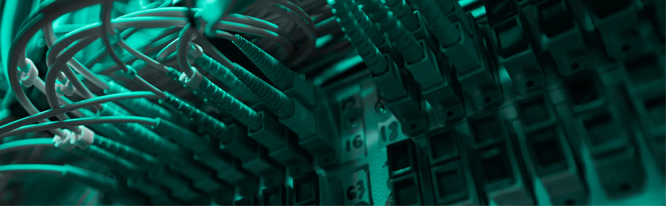 SD-WAN and Managed Network