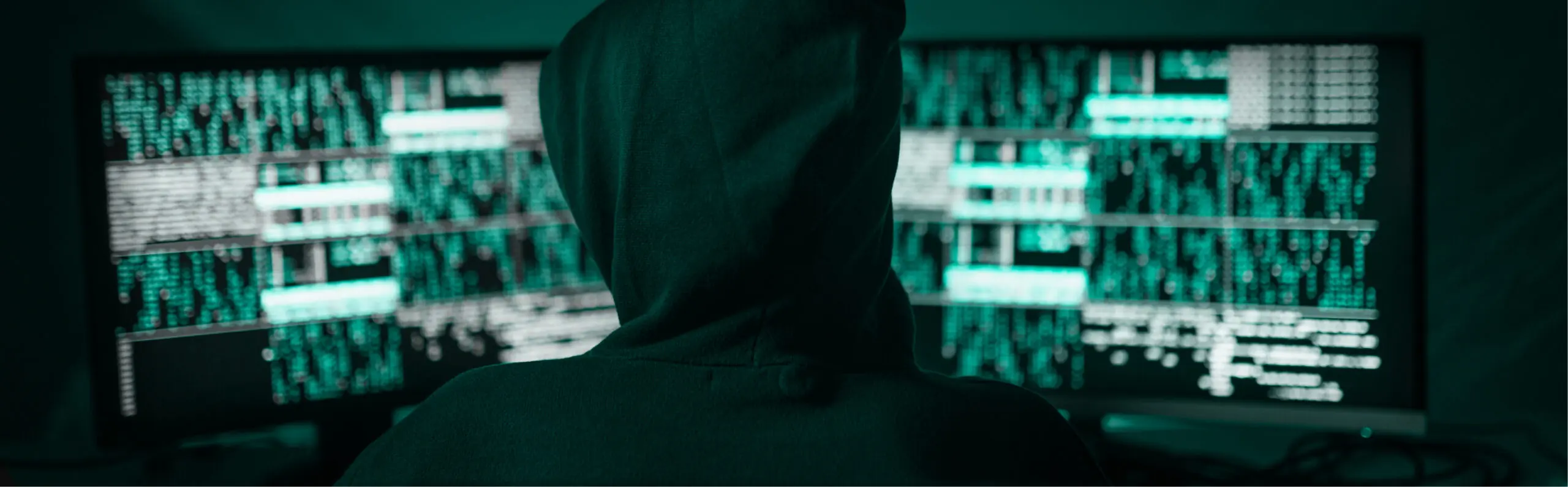 Vulnerability Assessment